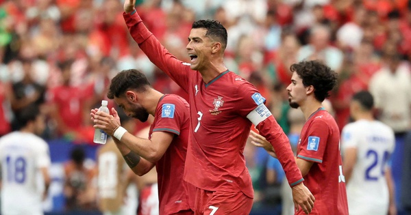 Cá cược thể thao uy tín